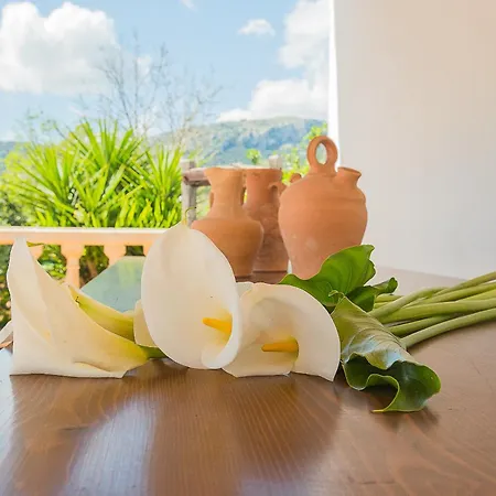 Villa Colonya Jaume-3 Bedrooms, Private Pool Near *